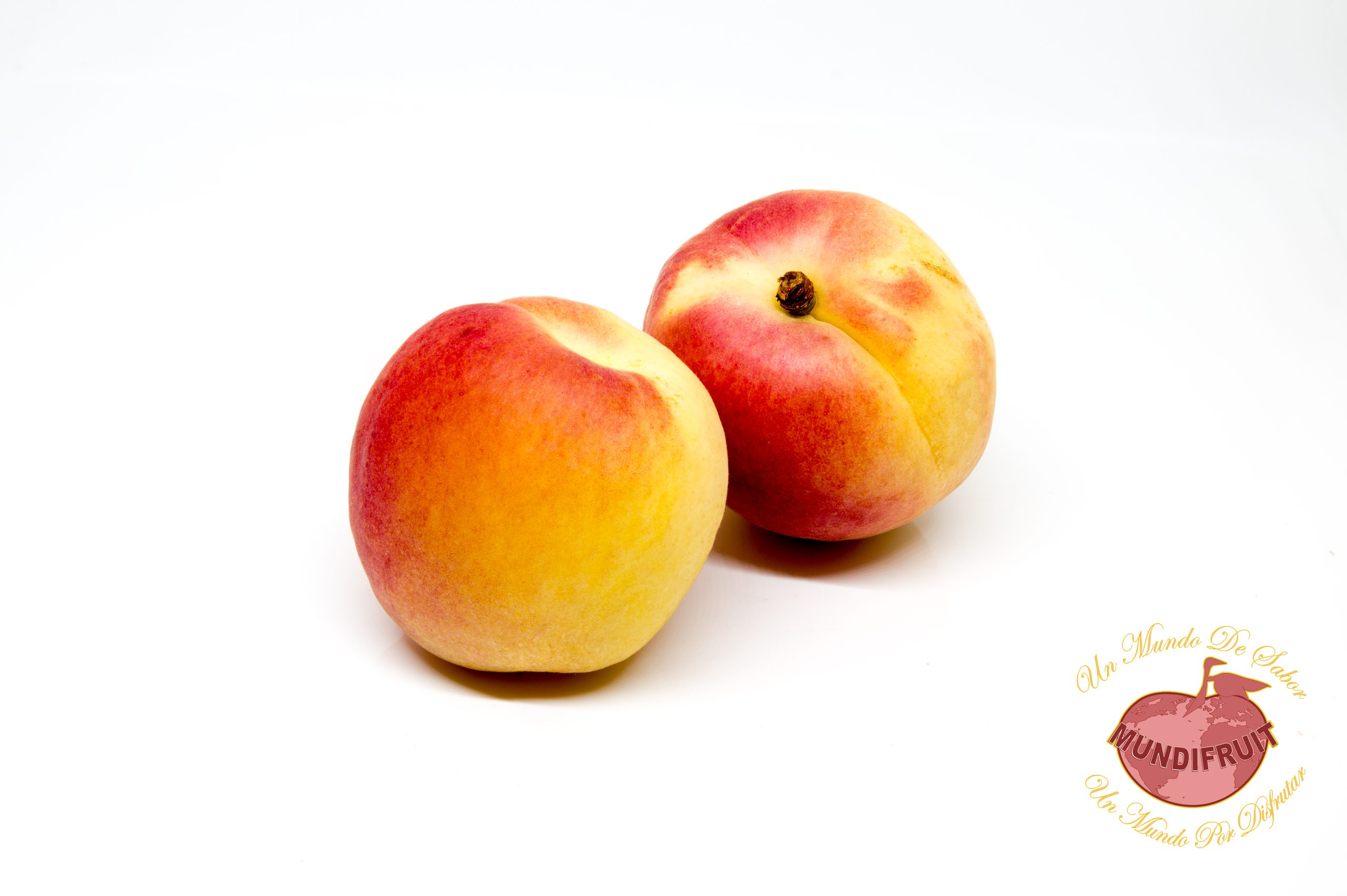 MELOCOTÓN DE CALANDA GORDO